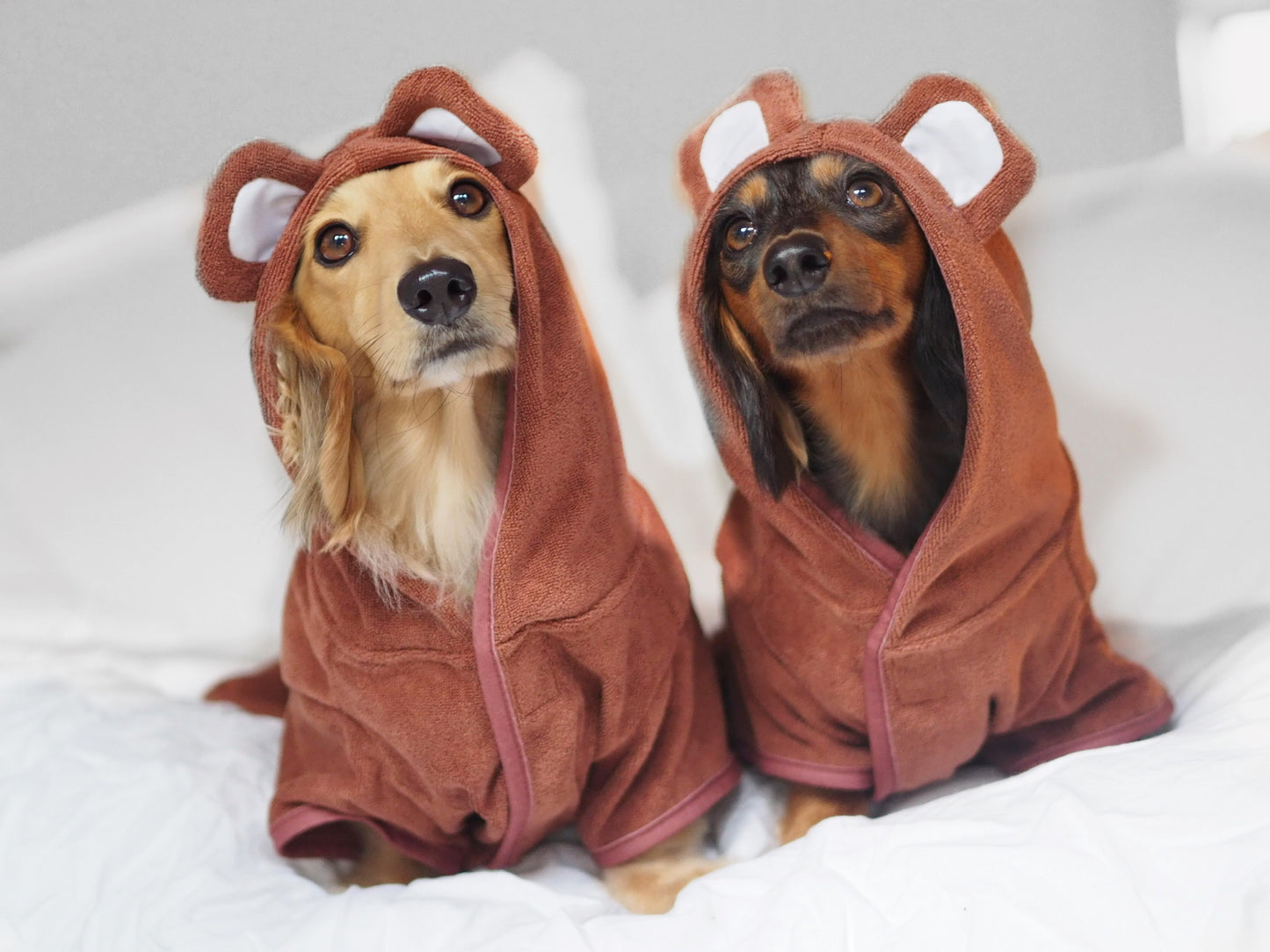 Bathrobe Teddy Bear