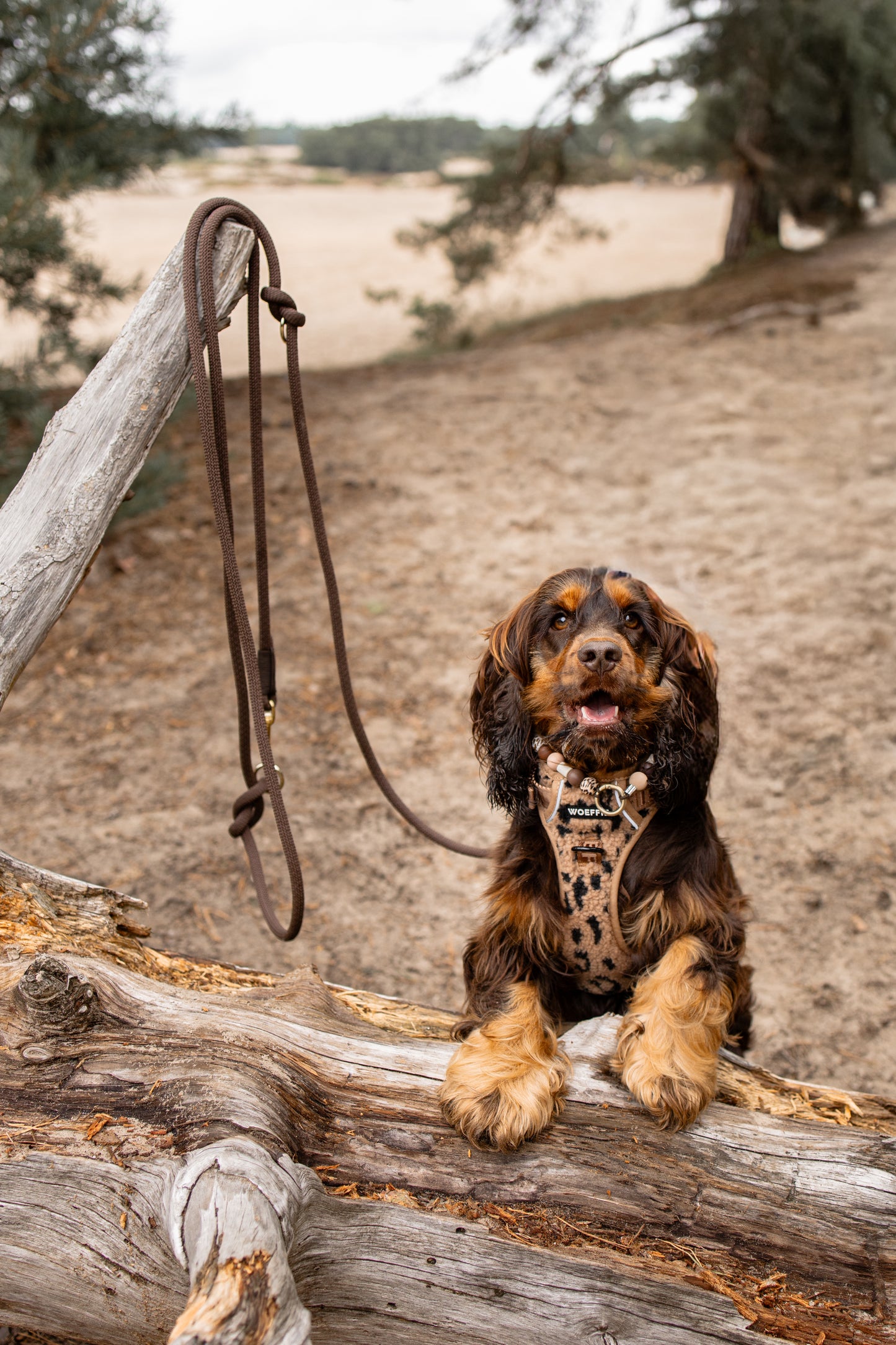Adventure Tuig - Teddy cheetah