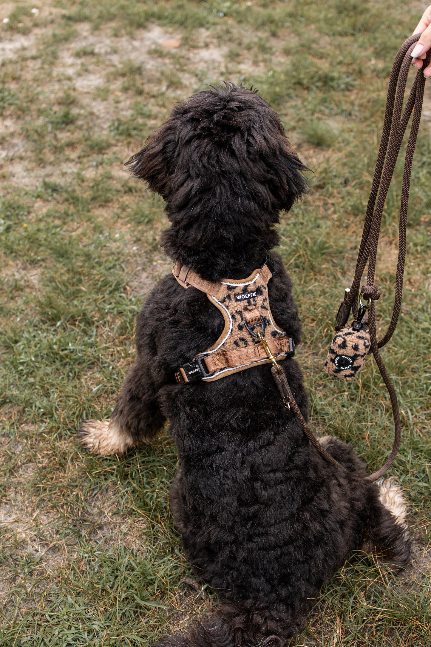 Adventure Tuig - Teddy cheetah