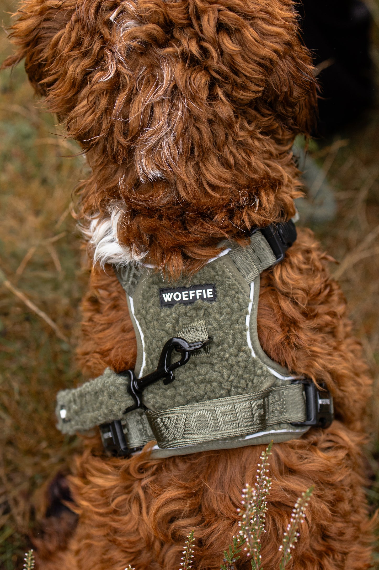 Adventure Tuig - Teddy Olive Green