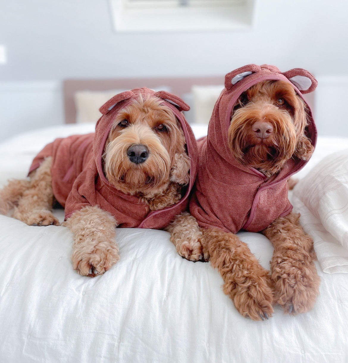Bathrobe Teddy Bear