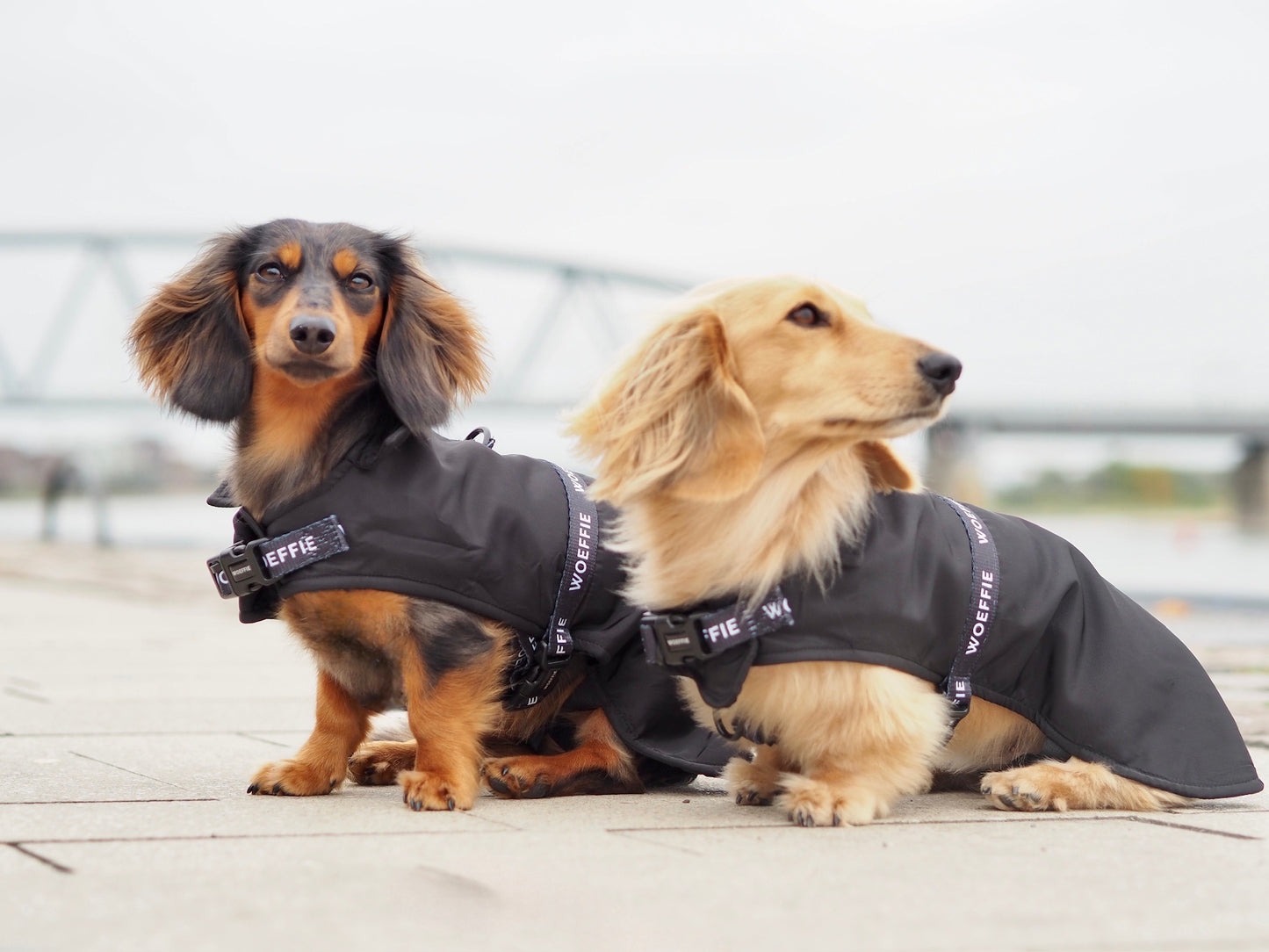 Black White RainCoat