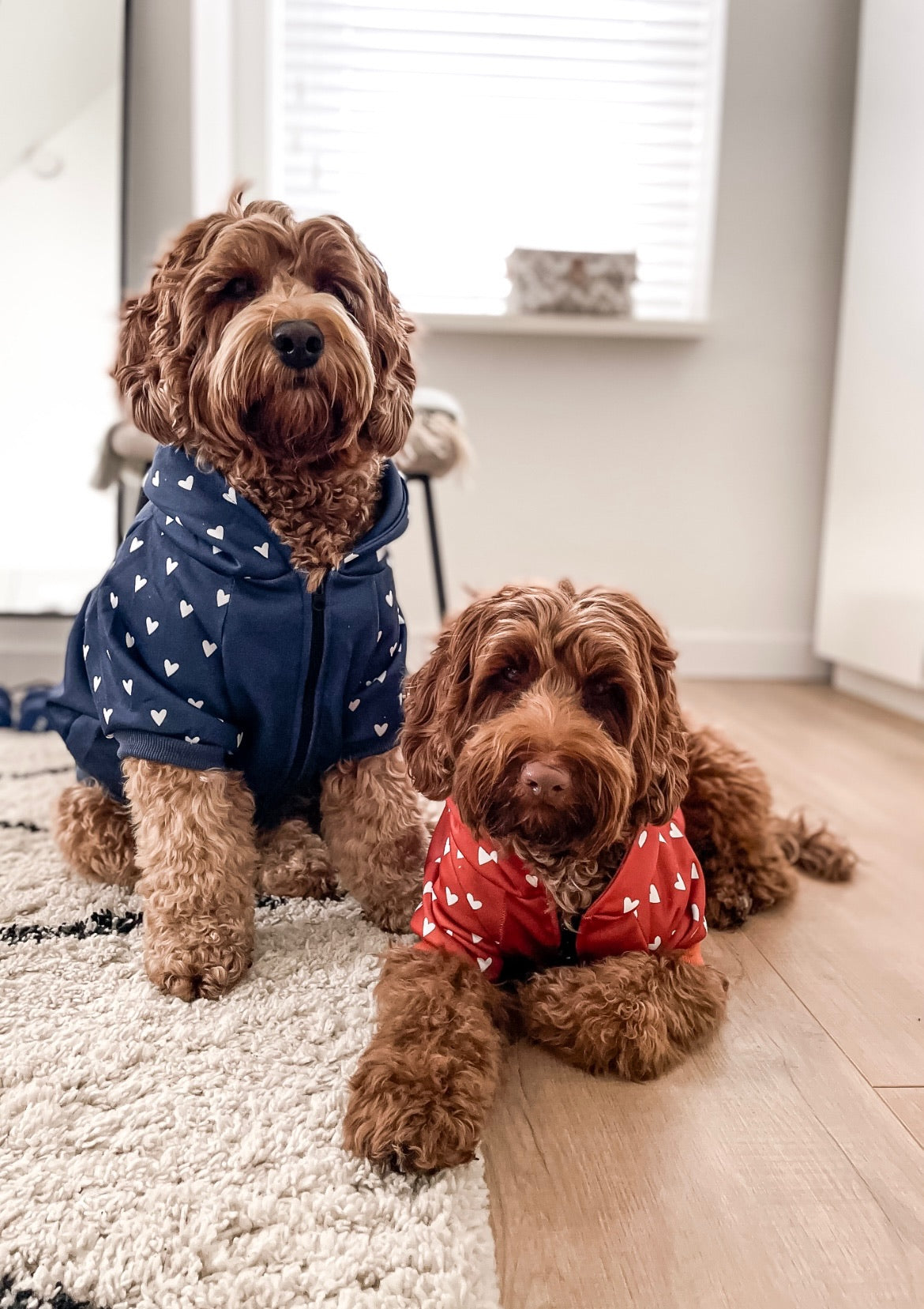 Hoodie - Forever In Rust