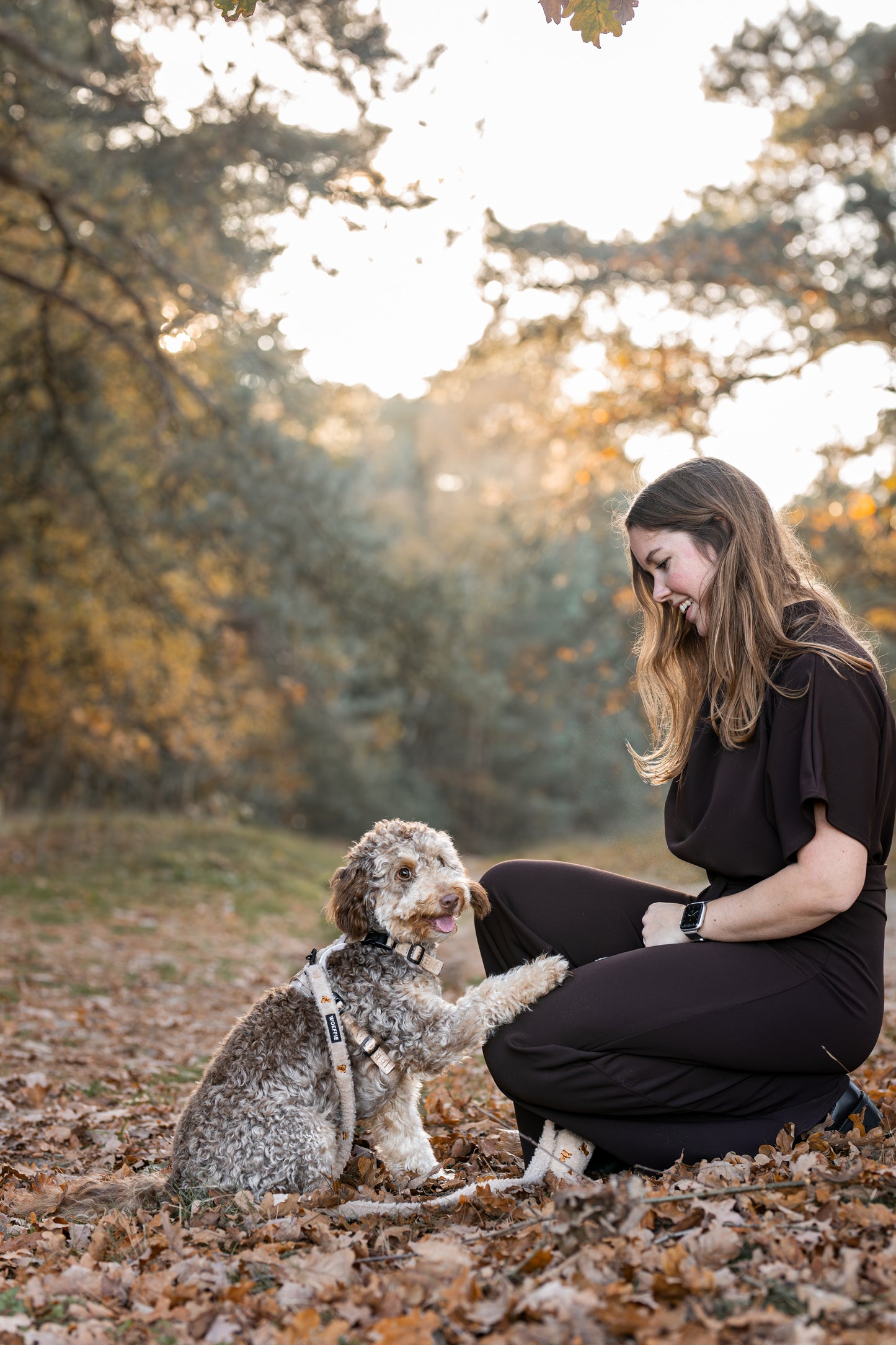 Adventure Tuig - Teddybear