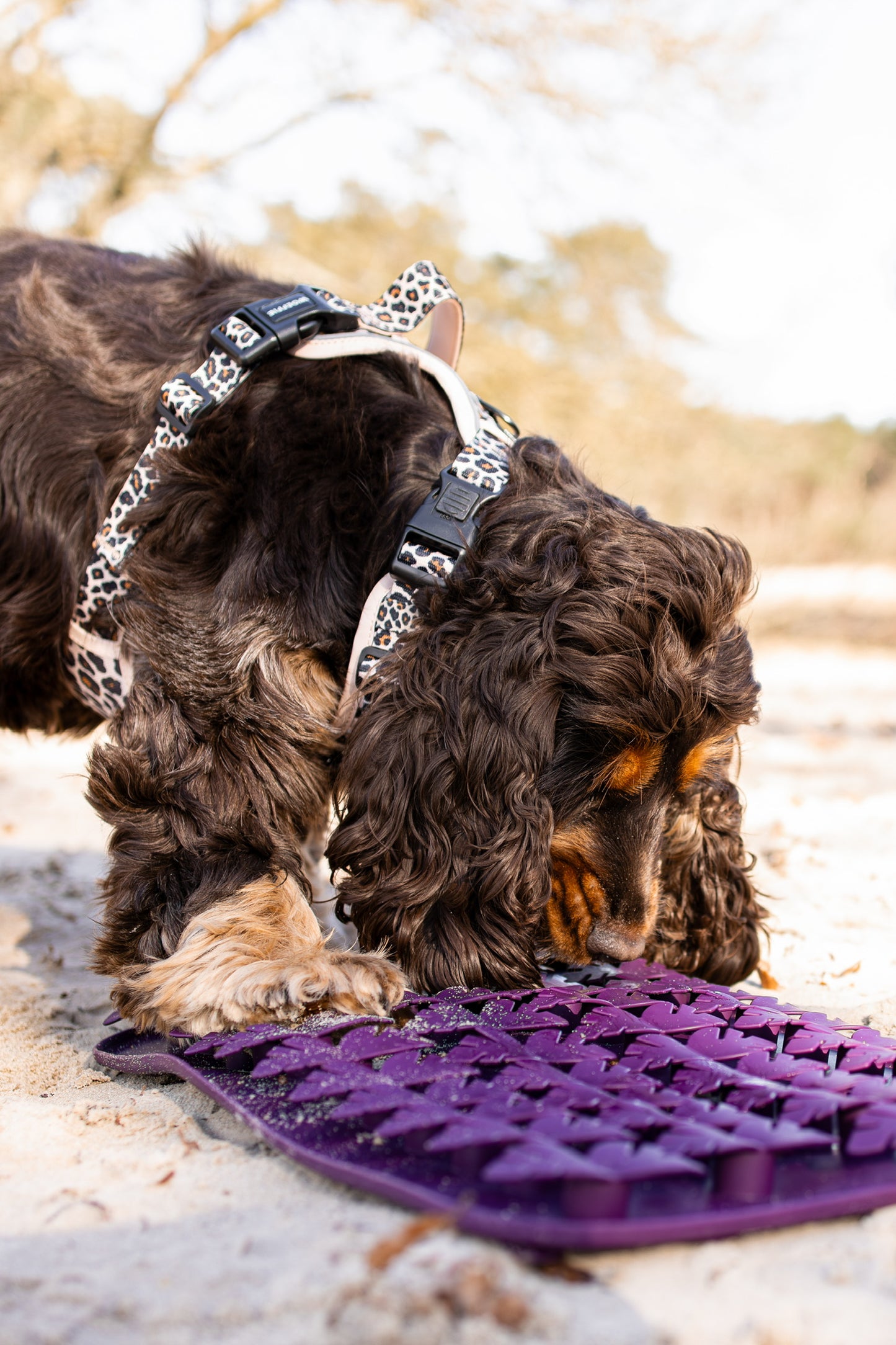 Slowfeeder - Pearl Bloom