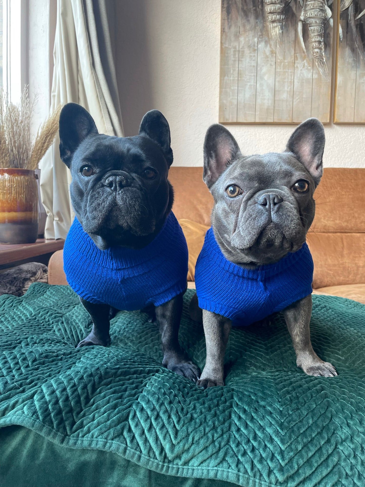Knitted Sweater - Blue