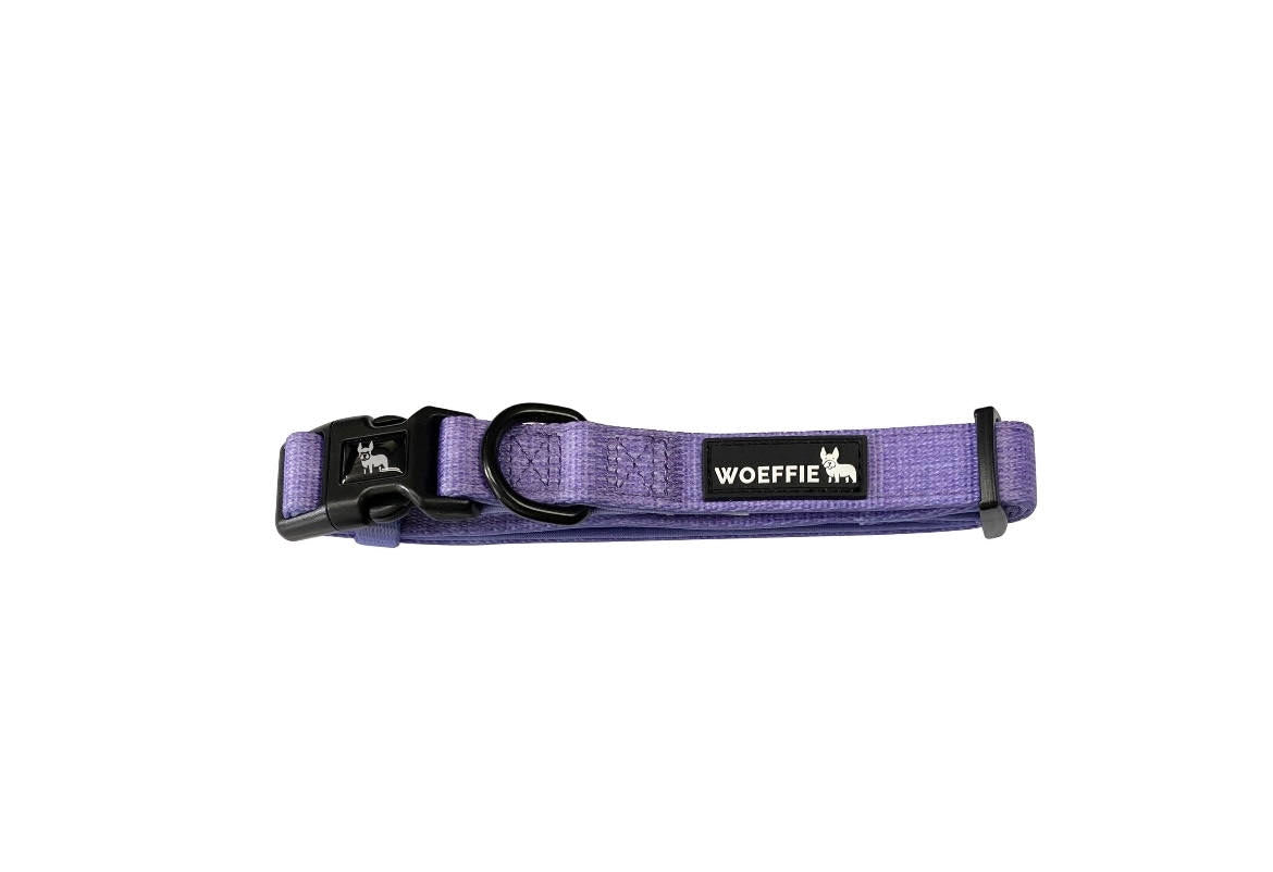 Collar - Lilac