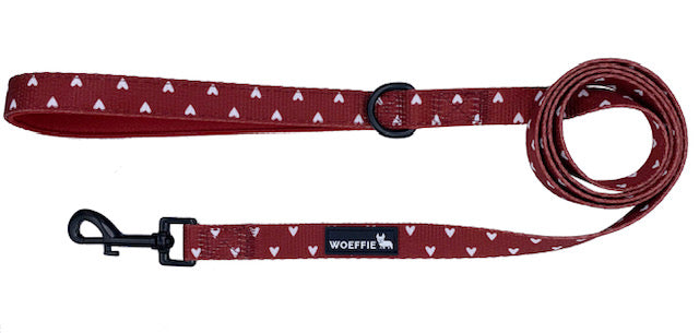 ZZ Leash - Forever In Red