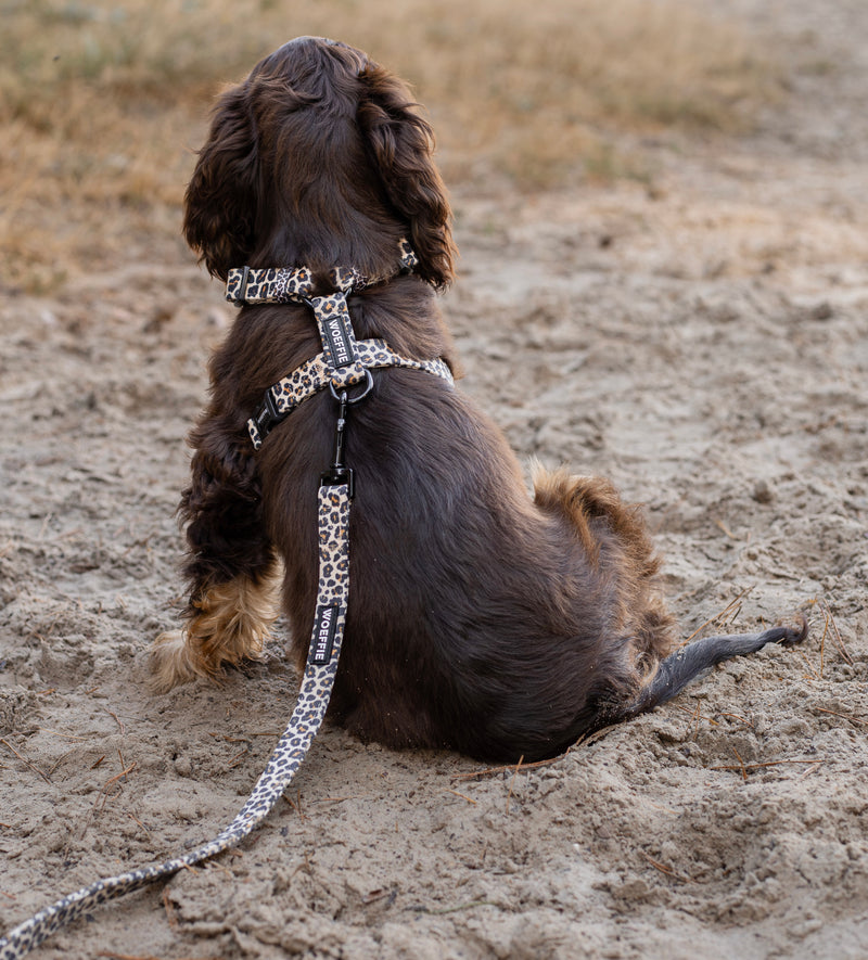 Halsbänder