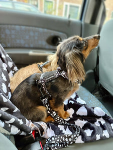 Car Seat Belt - Cheetah