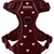 Adventure Tuig - Forever In Red