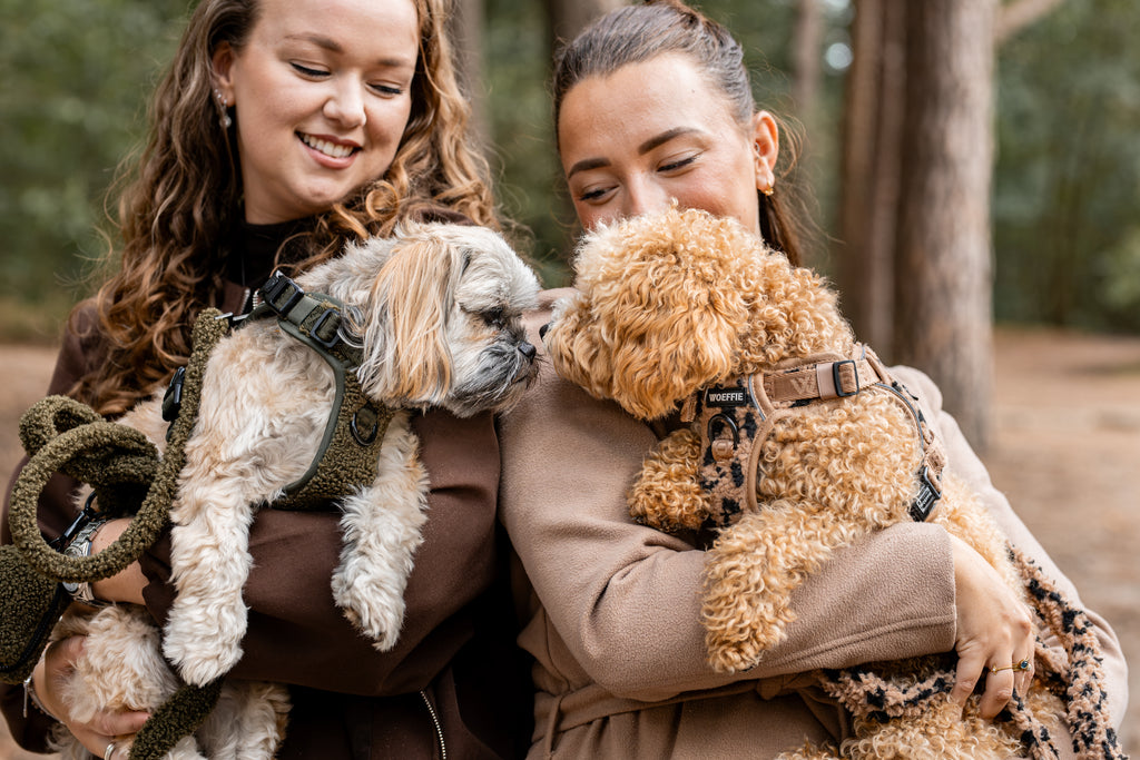 Adventure Tuig - Cheetah