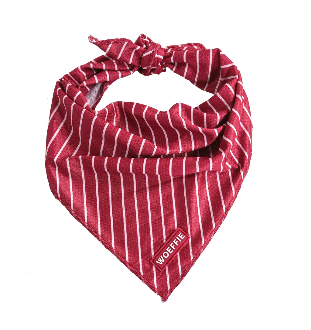 Cooling Bandana - Hibiscus Blaze