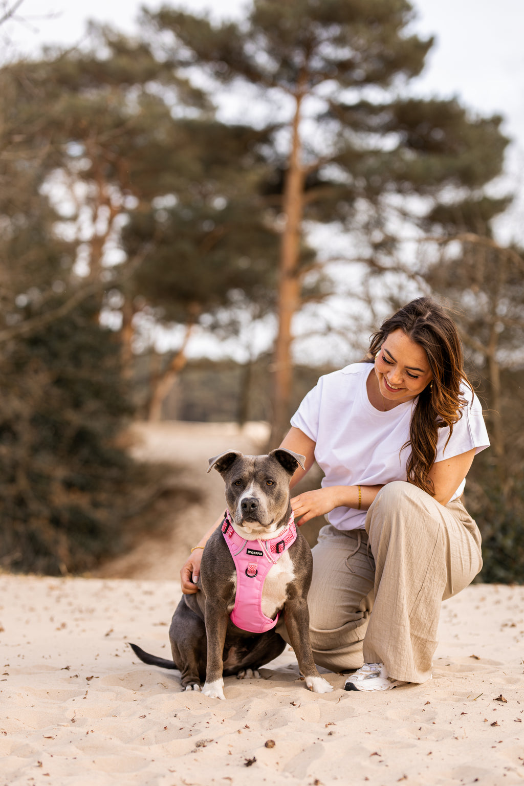Adventure Harness - Ibiza Rose