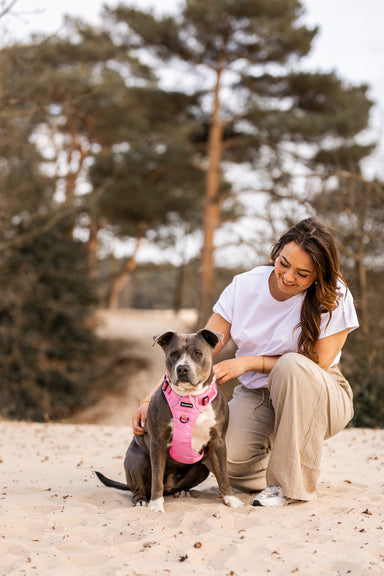 Adventure Harness - Ibiza Rose