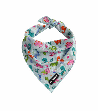 Cooling Bandana - Diny