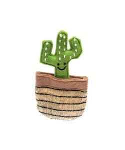 Miauwie - De Fofos Cactus Mexico