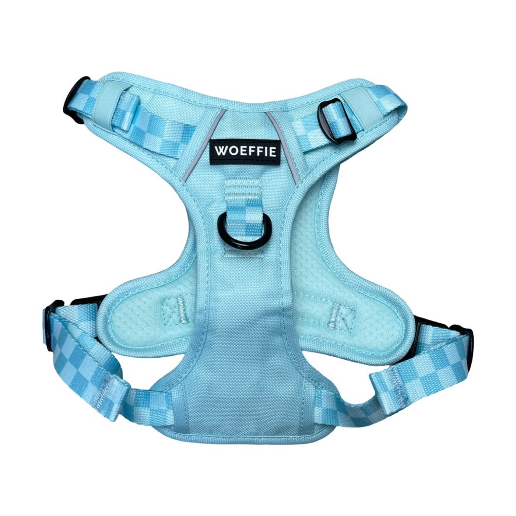 Adventure Harness (Step In) - Retro Blue