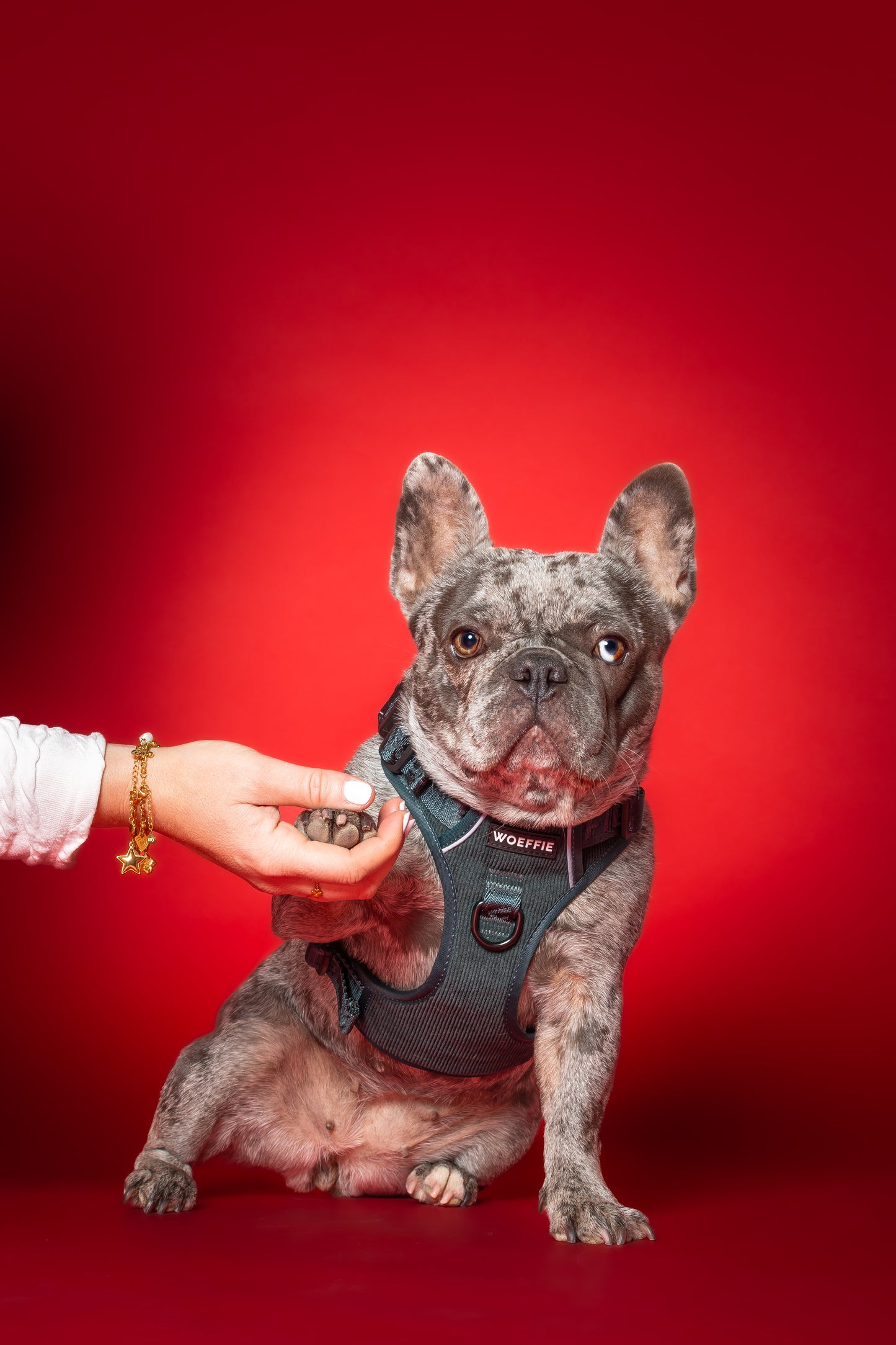 Adventure Tuig -  Emerald Green Rib