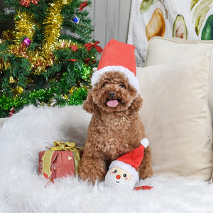 Hugsmart - Happy Woofmas - Santa