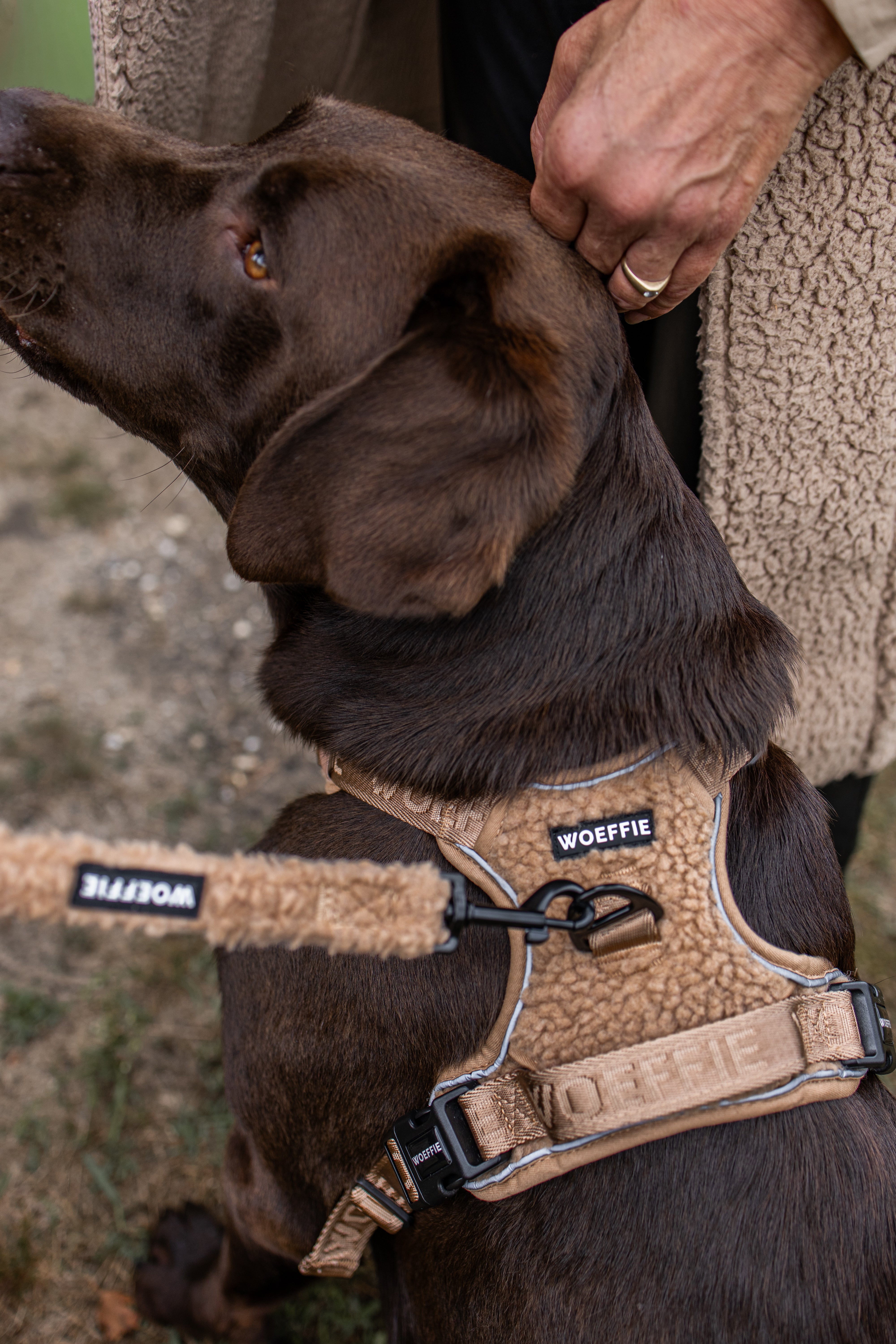 Riem - Teddy Beige