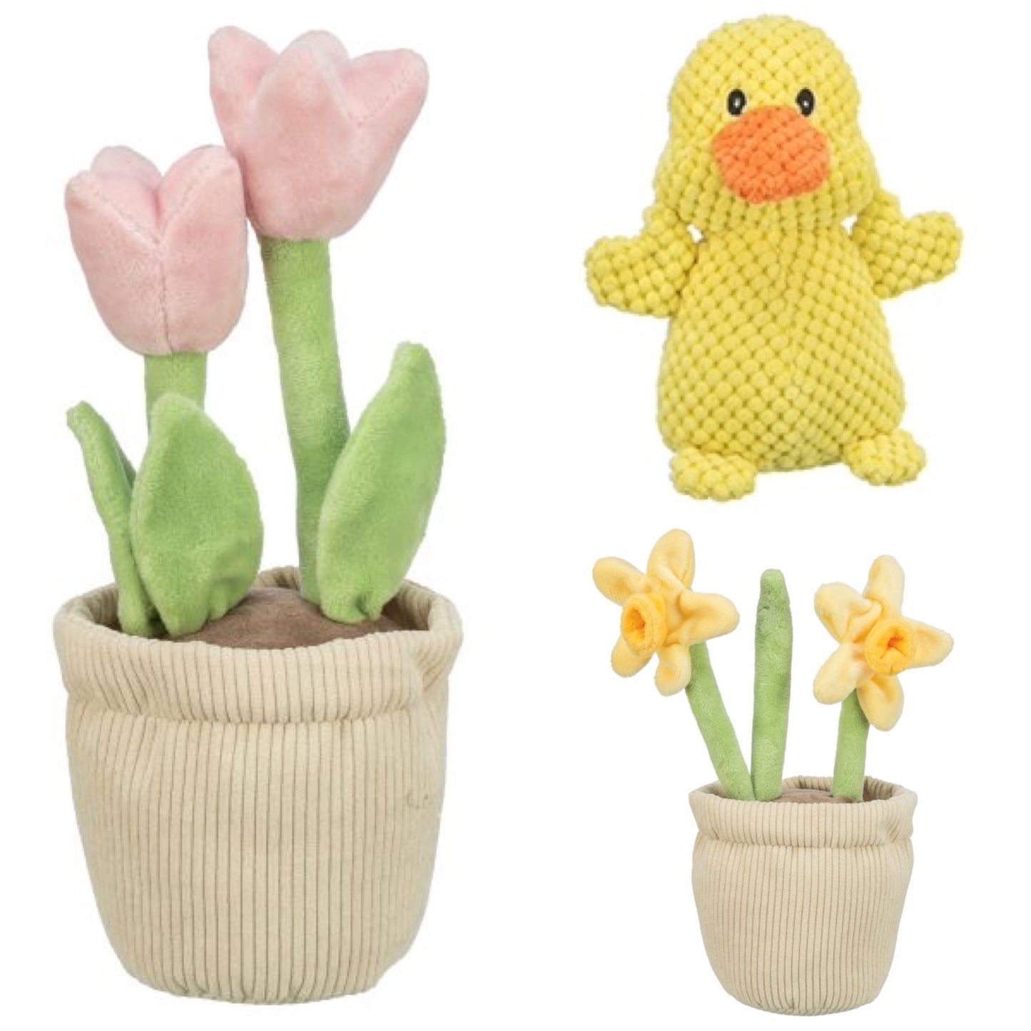 🌼 Happy Spring Friends🌷🐣