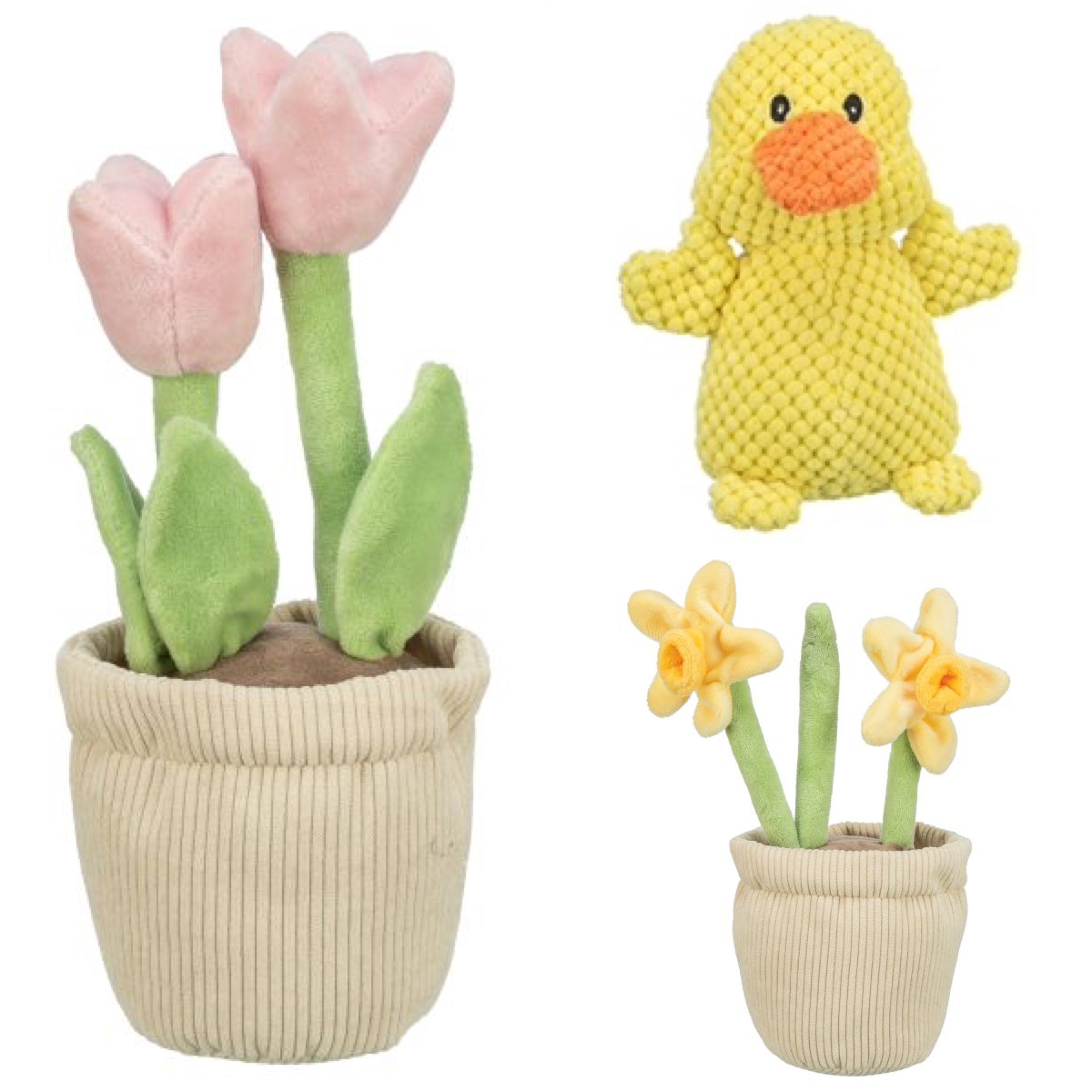 🌼 Happy Spring Friends🌷🐣