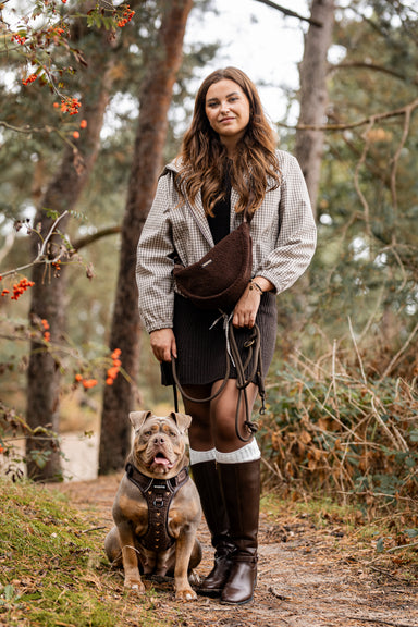 Walkie Bag - Teddy Brown