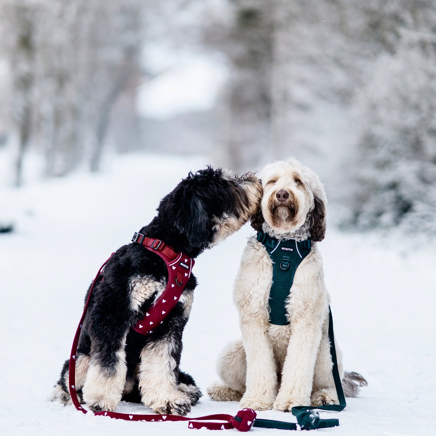 Zakjeshouder - Forever In Red Rib