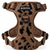 Adventure Tuig - Cheetah