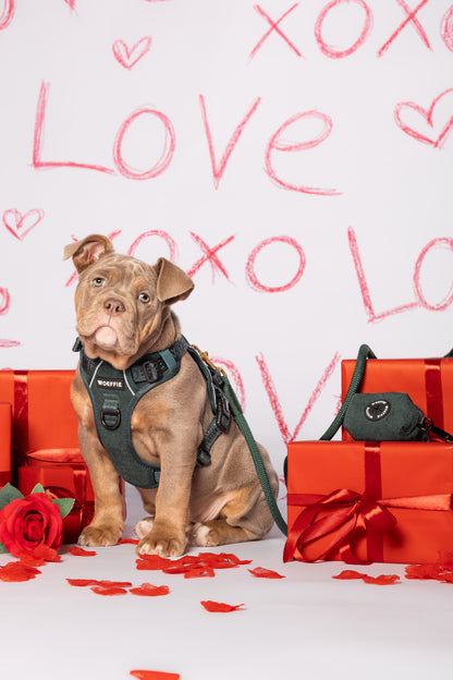 Adventure Tuig -  Emerald Green Rib