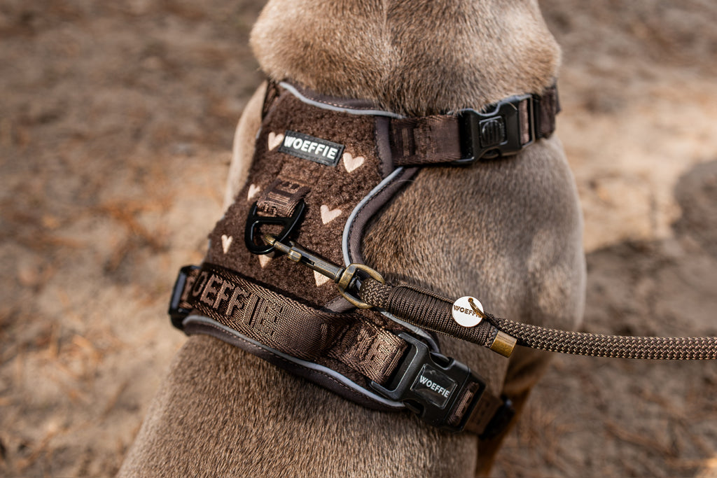 Handgemaakt - Handsfree Riem I Love Chocolate (voor alle honden)