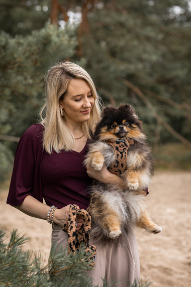 Adventure Tuig - Cheetah