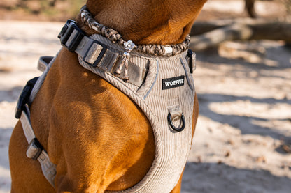 Adventure Tuig -   Gentle Stone