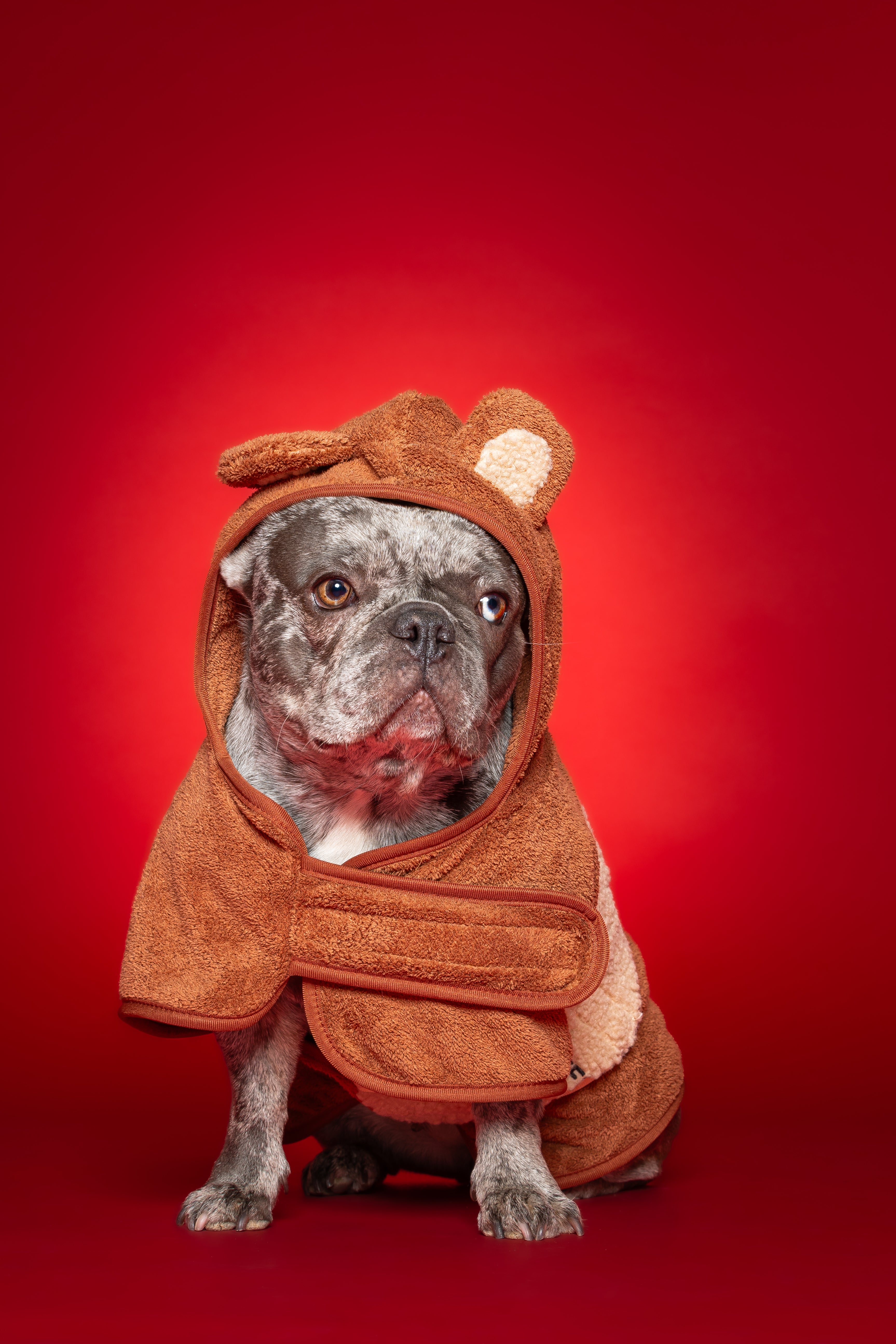 Badjas - Teddybear