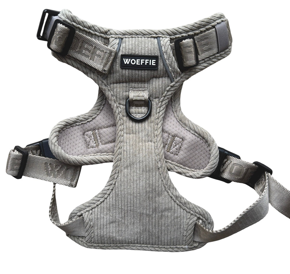 Adventure Tuig -   Gentle Stone