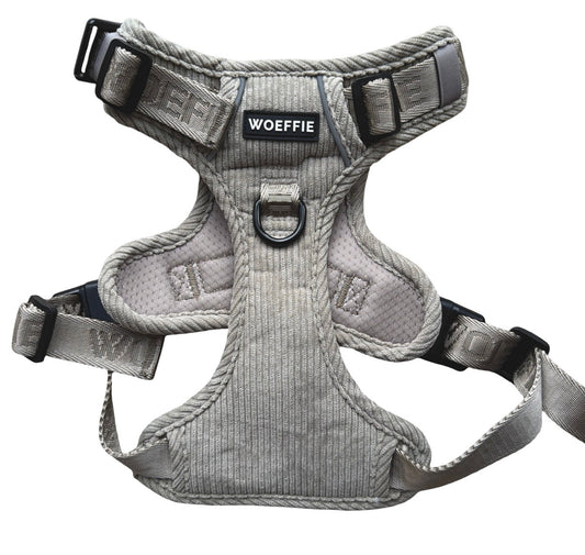 Adventure Tuig -   Gentle Stone