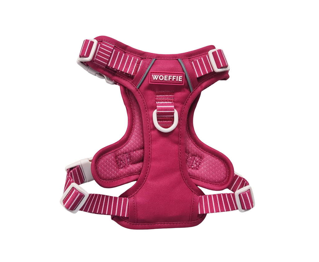 Adventure Tuig -   Hibiscus Blaze