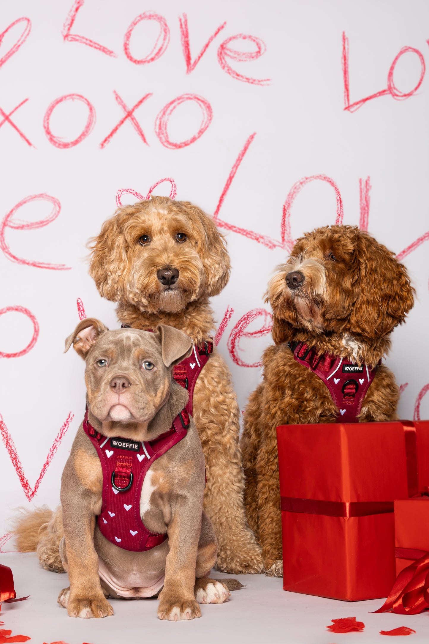 Adventure Tuig - Forever In Red Rib