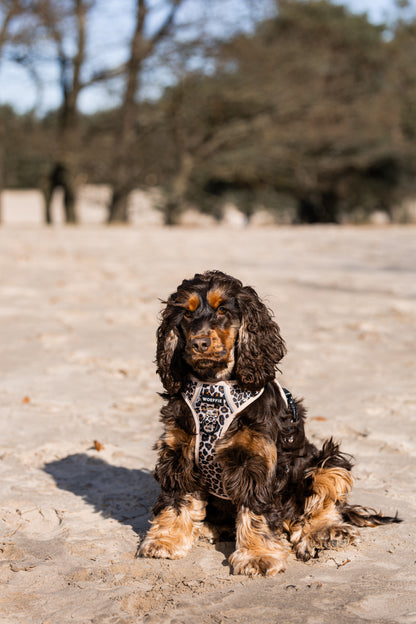 Adventure Tuig - Wild Thing