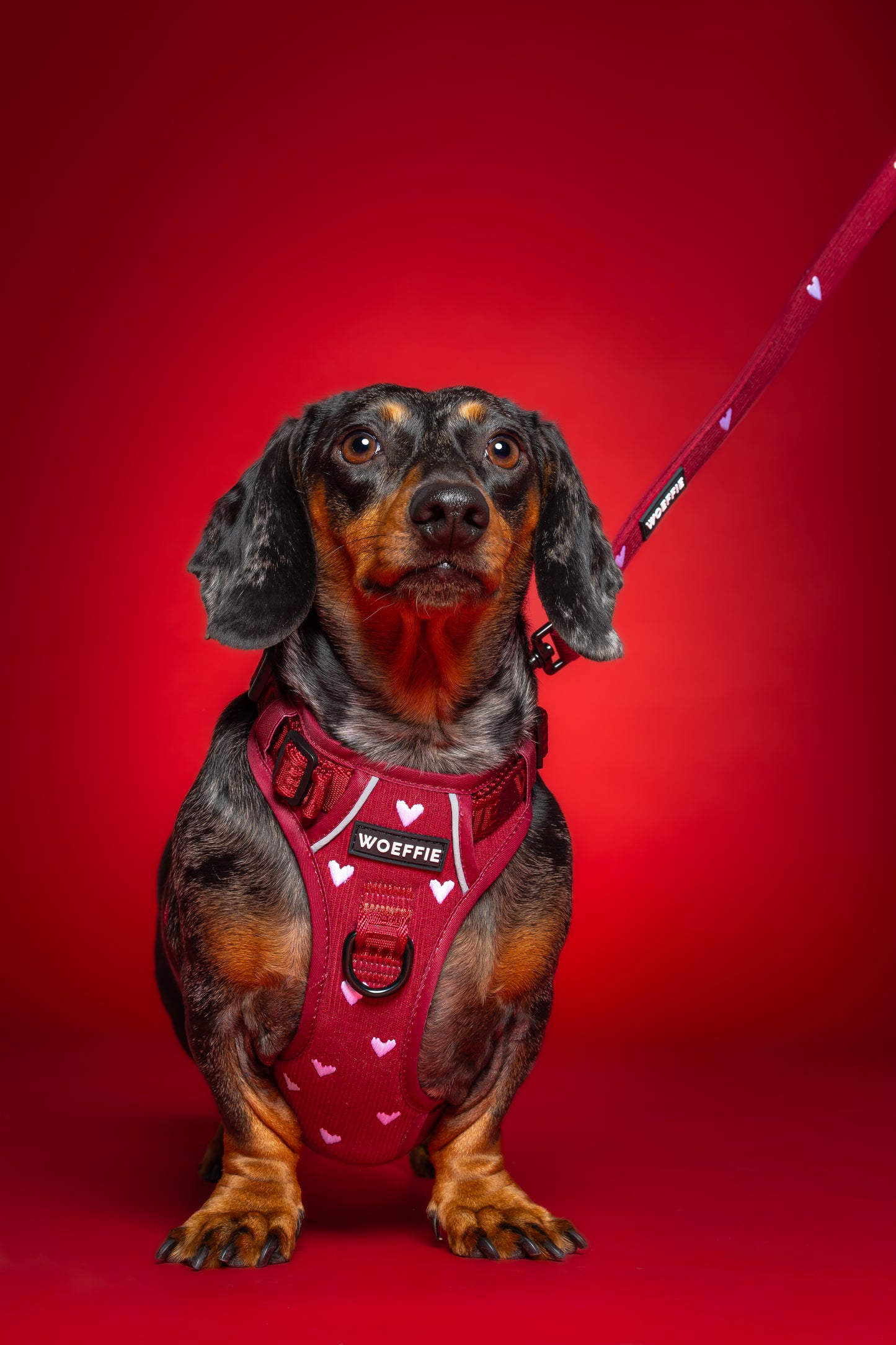 Adventure Tuig - Forever In Red Rib