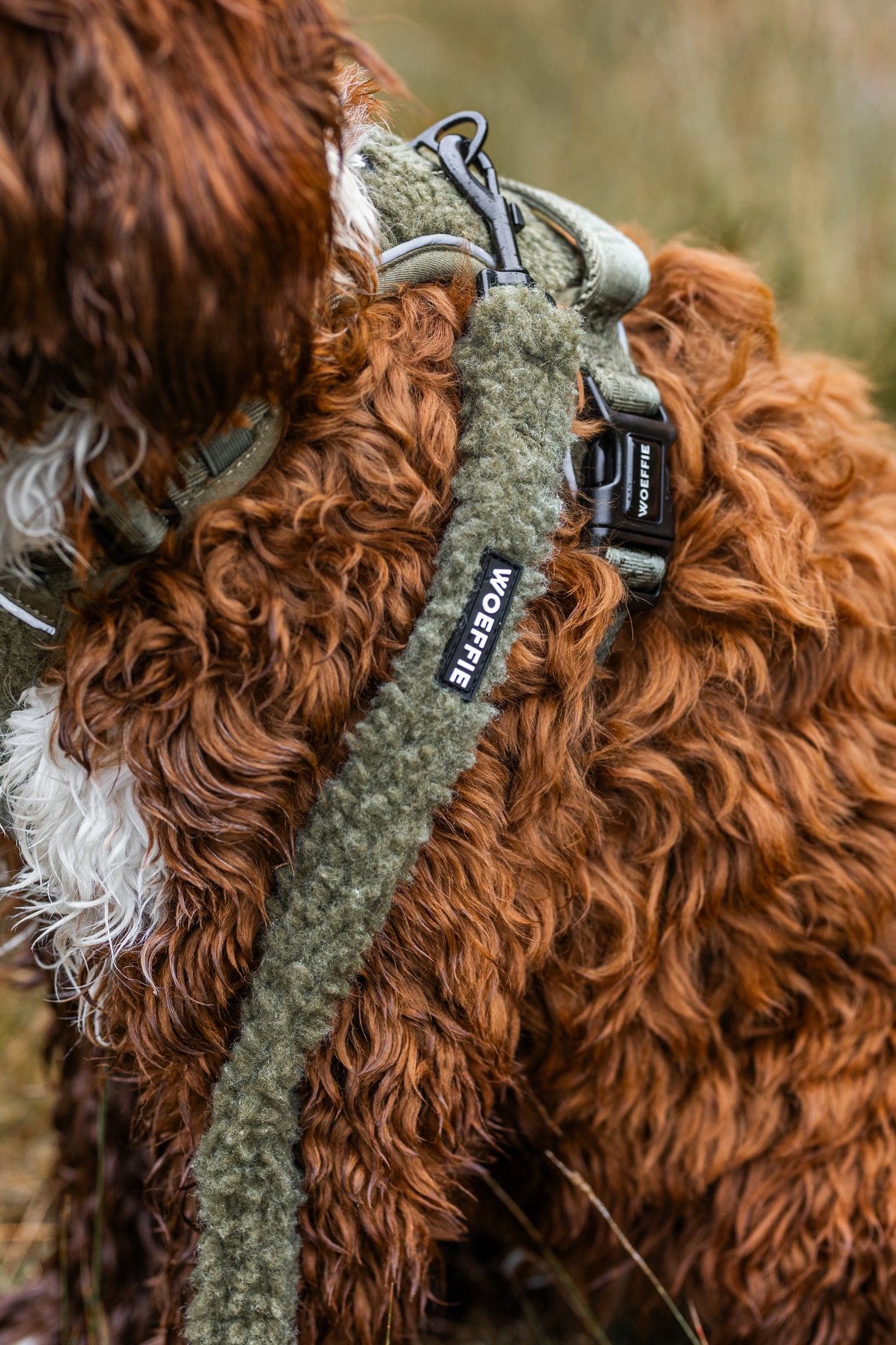 Riem - Teddy Olive Green