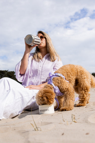 2-in-1 Thermos Waterfles beige / Bruin ( meerdere keuzes mogelijk!)