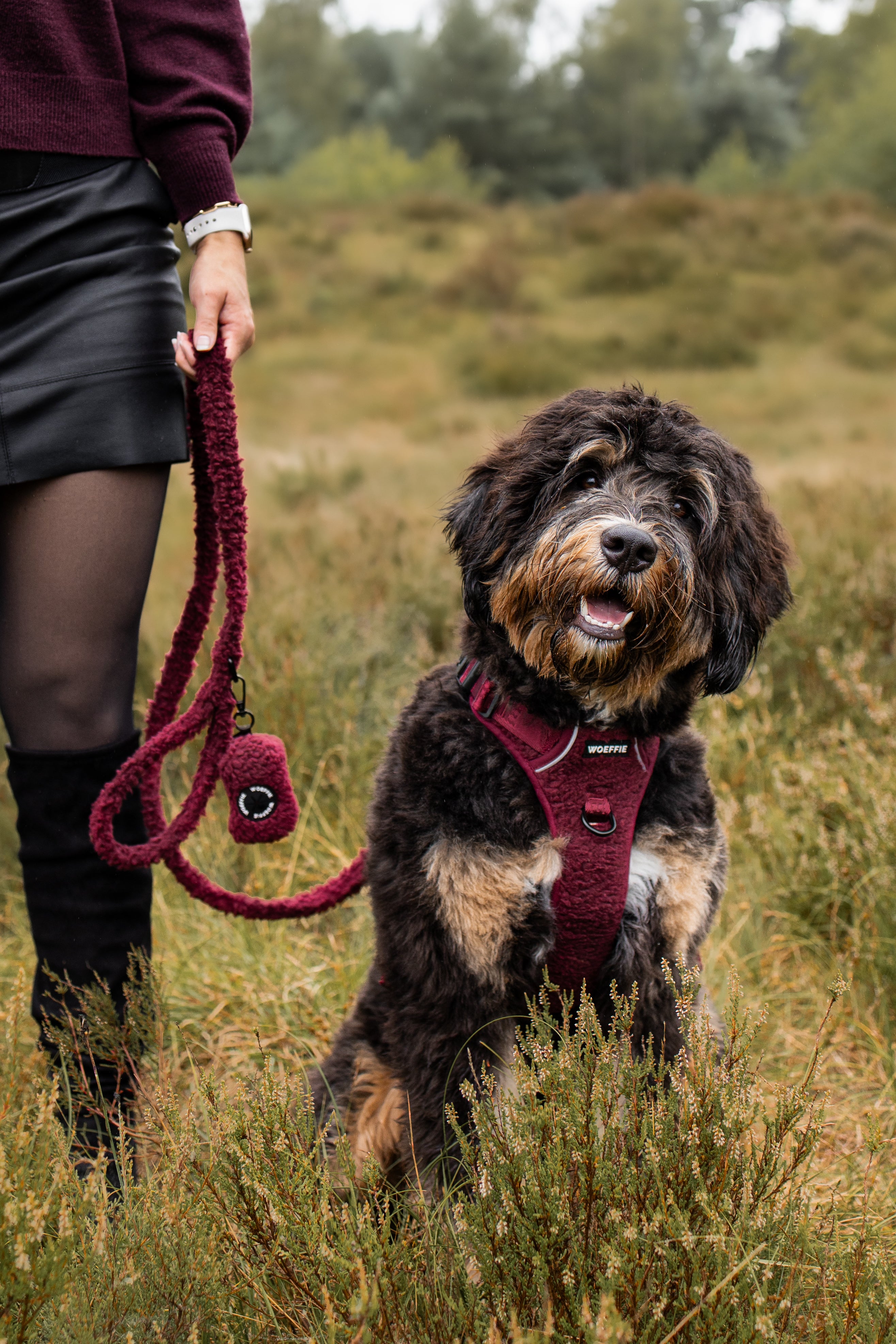 Riem - Teddy Vino