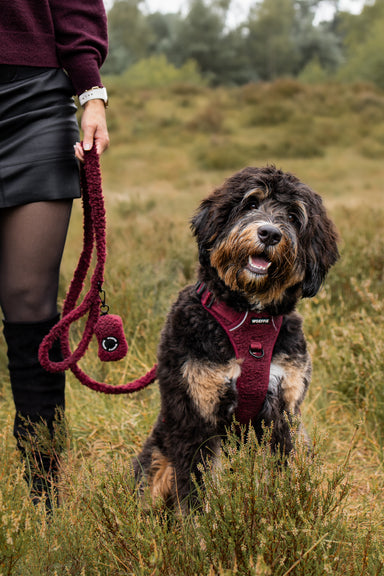 Riem - Teddy Vino