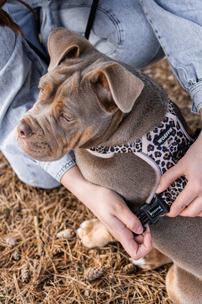 Adventure Tuig - Wild Thing