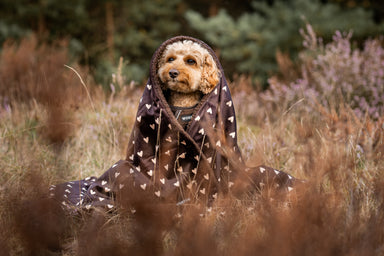 Blanket - I Love Chocolate
