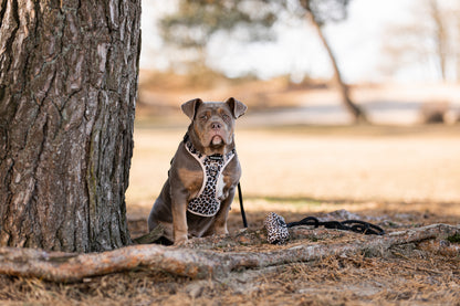 Adventure Tuig - Wild Thing