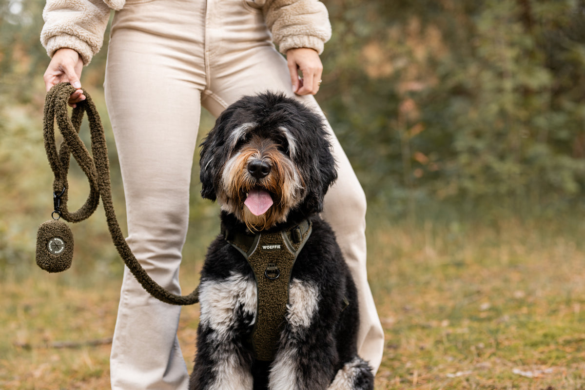 Adventure Tuig - Olive Green