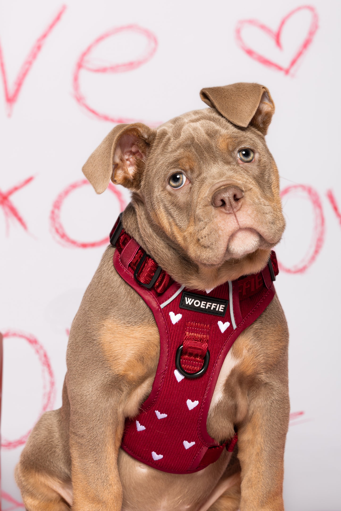 Adventure Tuig - Forever In Red Rib